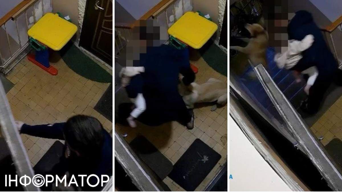 Собака вбивство дитина вирок